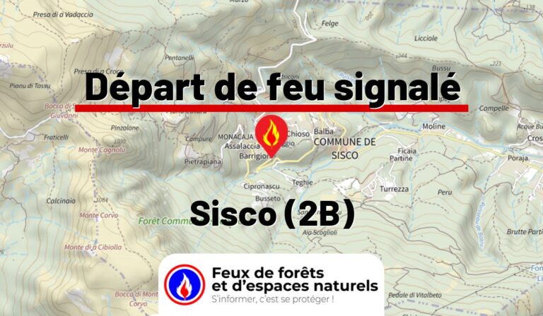 Sisco (2B)