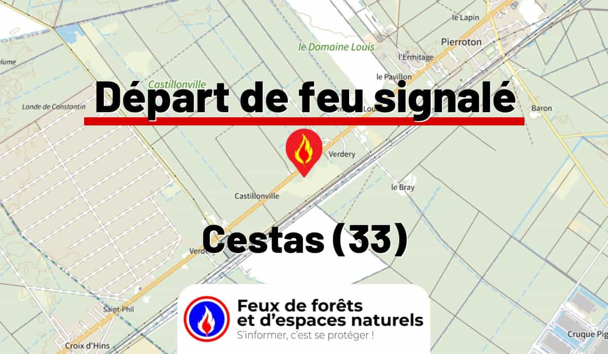 Cestas (33)
