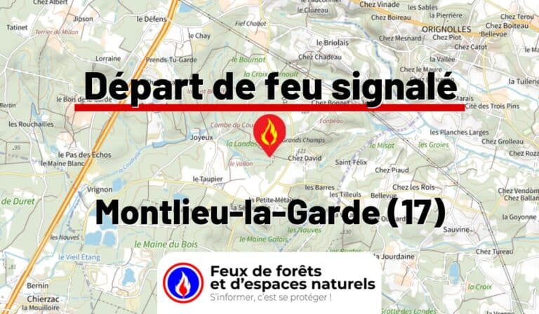 Montlieu-la-Garde (17)