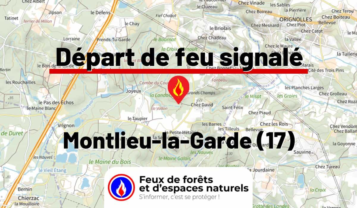 Montlieu-la-Garde (17)