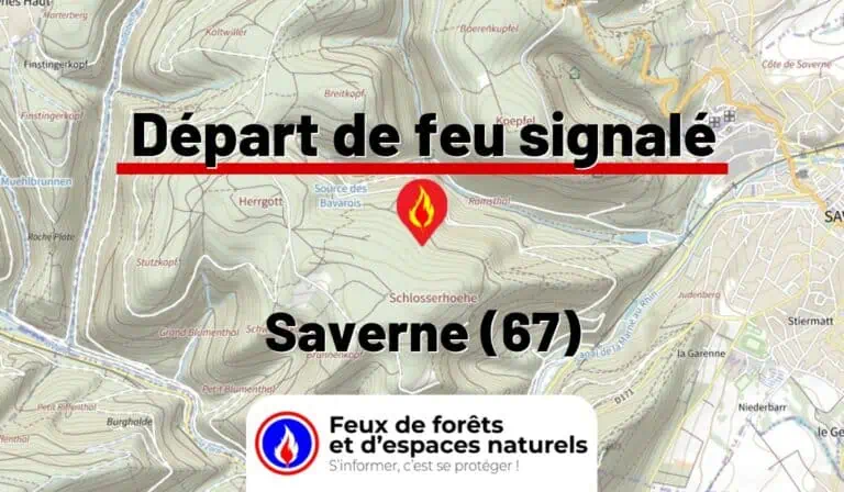 Saverne (67)