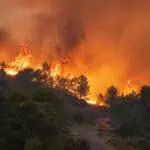 Canicule précoce et historique : pourquoi la vague de chaleur de mai 2026 fait basculer le risque incendie un mois avant l&rsquo;été