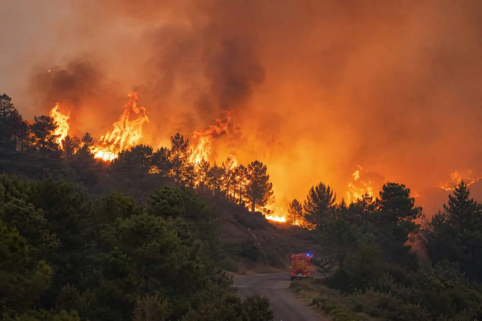 Vue aérienne d'une forêt française desséchée sous un ciel de canicule en mai 2026, illustrant le risque d'incendie accru par la vague de chaleur historique