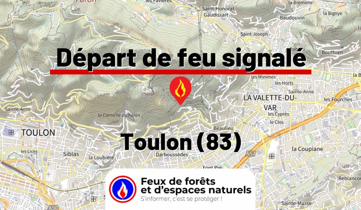 Toulon (83)