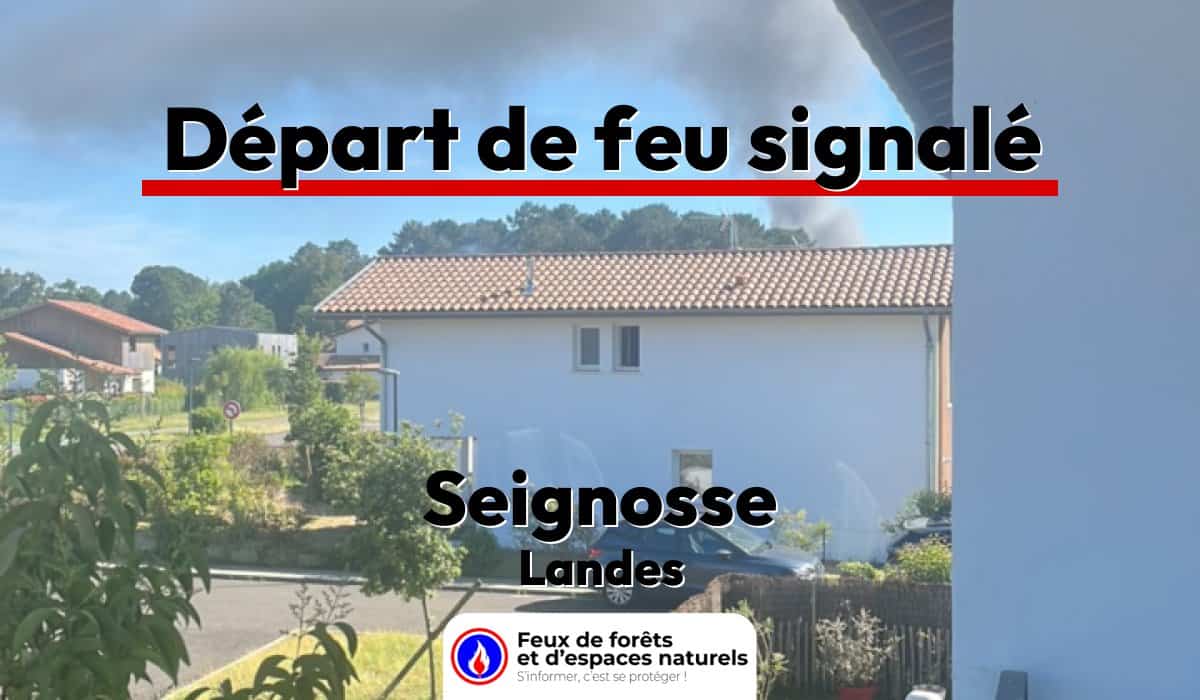 Seignosse (40)