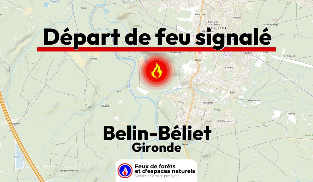 Belin-Béliet (33)