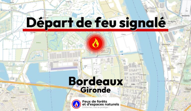 Bordeaux (33)