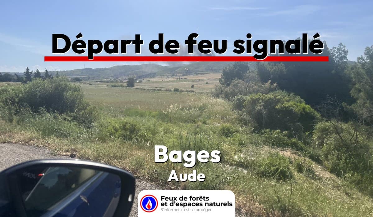 Bages (11)