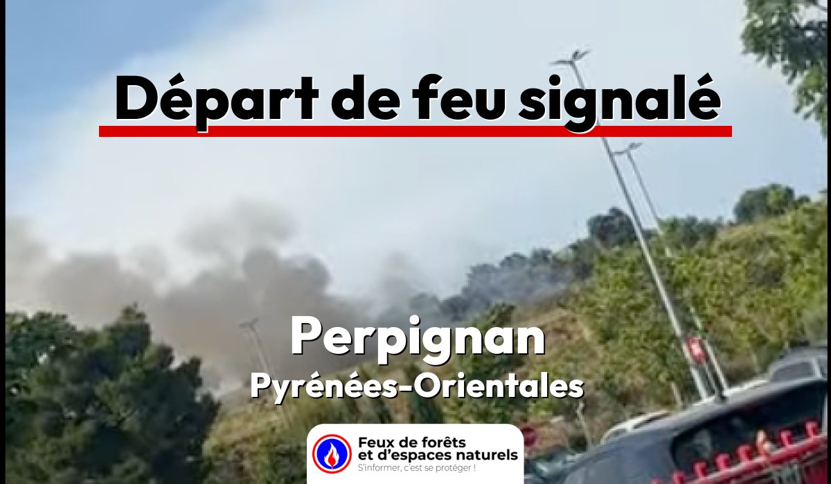 Perpignan (66)