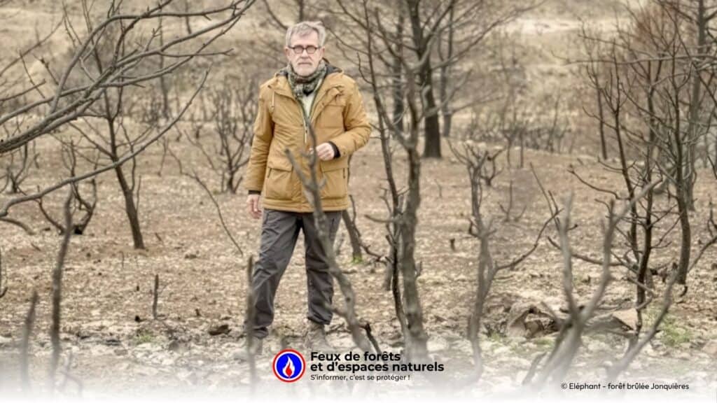 « Des feux extrêmes en France : sommes-nous prêts ? » – Le documentaire inédit du Monde de Jamy ce soir à 21h05
