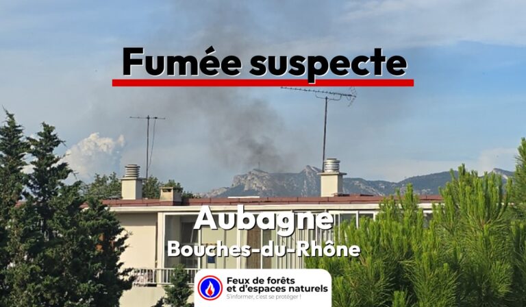 Aubagne (13)
