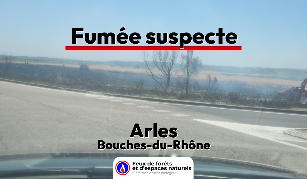 Arles (13)