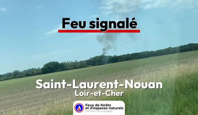 Saint-Laurent-Nouan (41)