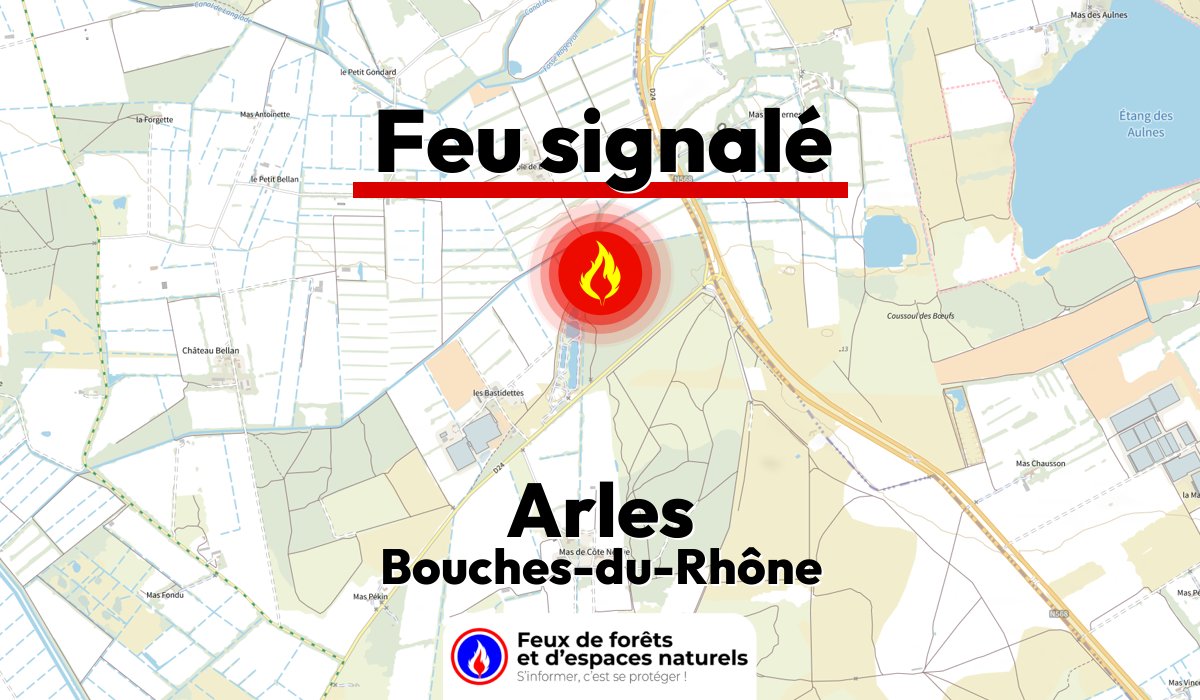 Arles (13)