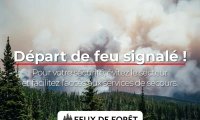 ALERTE6
