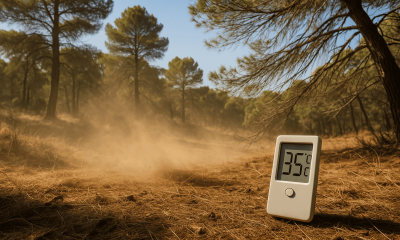 Sous-bois méditerranéen asséché, vent poussiéreux et thermomètre affichant 35 °C – risque incendie élevé