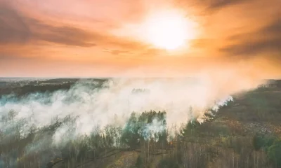 Feu de forêt au Canada