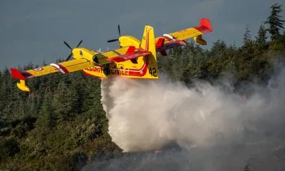 Feu de Camelas - Anthony Montardy