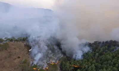 Feu de forêt dans la Drôme