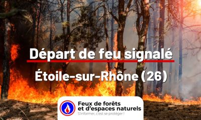 fdf-signalement-24667-mini.jpg
