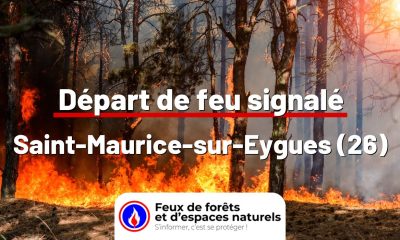 fdf-signalement-24823-mini.jpg