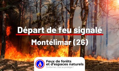 fdf-signalement-24920-mini.jpg
