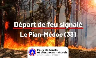 fdf-signalement-25756-mini.jpg