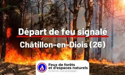 fdf-signalement-25782-mini.jpg