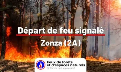 fdf-signalement-25811-mini.jpg