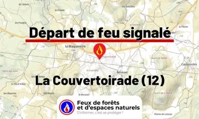 fdf-signalement-25905-mini.jpg