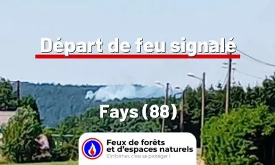 fdf-signalement-25910-mini.jpg