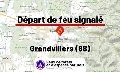 fdf-signalement-25923-mini.jpg
