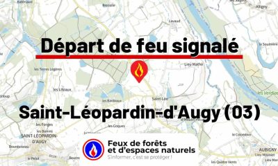 fdf-signalement-25949-mini.jpg