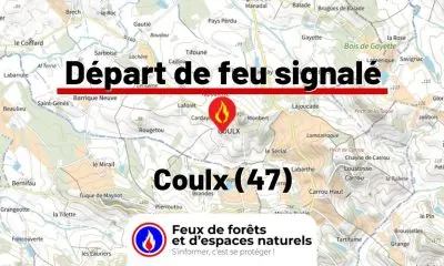 fdf-signalement-25960-mini.jpg