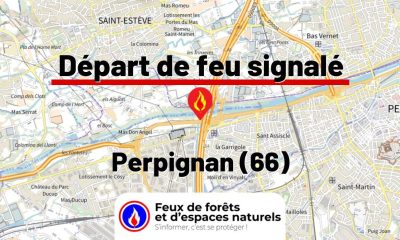 fdf-signalement-25965-mini.jpg