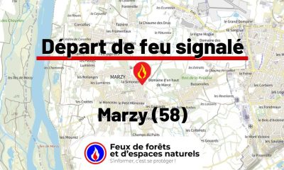 fdf-signalement-25970-mini.jpg