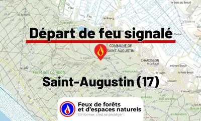 fdf-signalement-25981-mini.jpg