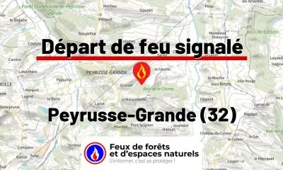 fdf-signalement-25996-mini.jpg