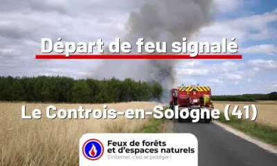 fdf-signalement-26001-mini.jpg