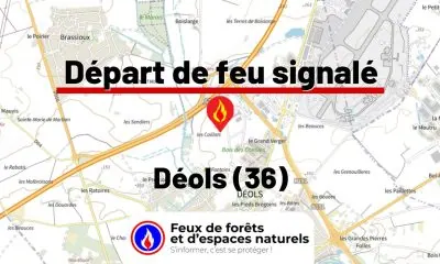 fdf-signalement-26014-mini.jpg