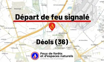fdf-signalement-26014-mini.jpg