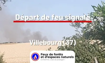 fdf-signalement-26129-mini.jpg