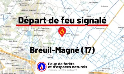 fdf-signalement-26178-mini.jpg