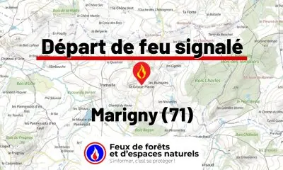fdf-signalement-26210-mini.jpg