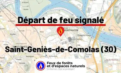 fdf-signalement-26220-mini.jpg
