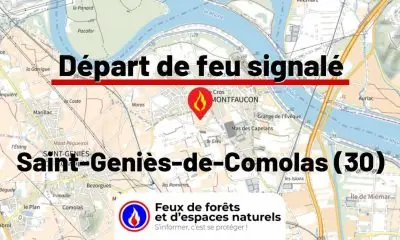 fdf-signalement-26220-mini.jpg