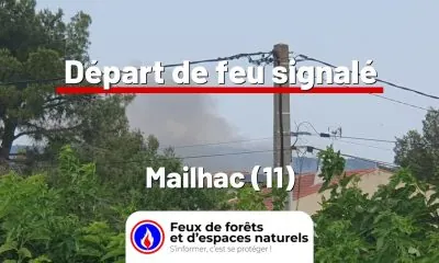 fdf-signalement-26226-mini.jpg