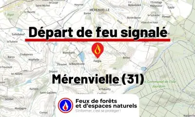 fdf-signalement-26242-mini.jpg