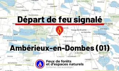 fdf-signalement-26247-mini.jpg