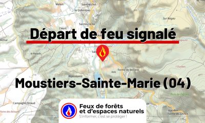 fdf-signalement-26252-mini.jpg